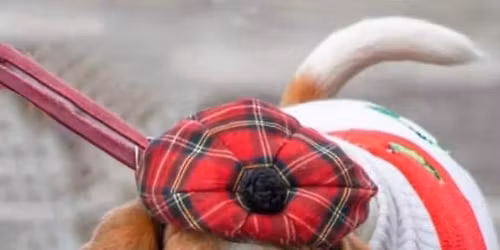 Aiken Dog Walks Holiday Party and Grab Bag Event at Good Girl!