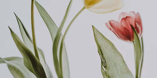  Mother\u2019s Day Brunch at River House \ud83d\udc95