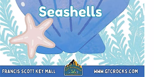 SAND-sational Seashells