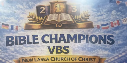 VBS Bible Champions