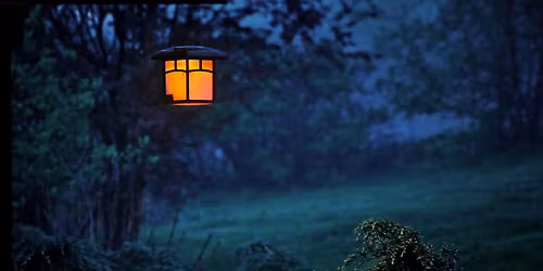 Twilight Nature Walk