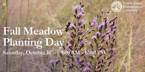 Fall Meadow Planting Day