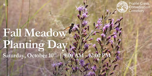 Fall Meadow Planting Day