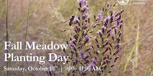 Fall Meadow Planting Day