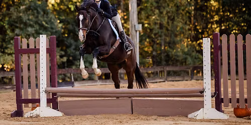 MacNairs Schooling Show