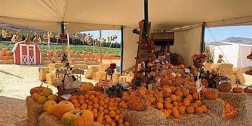 Pumpkin Station Rancho Bernardo