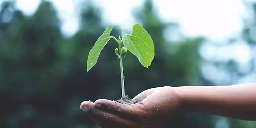 Grow Through What You Go Through