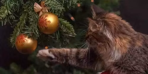 A Festive Trio: Holy Eucharist Rite II, Greening of the Church, and Potluck Lunch