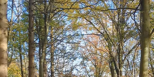 Brighton Girls MTB Network: Social Ride at Stanmer Park  - Sunday 9th Nov