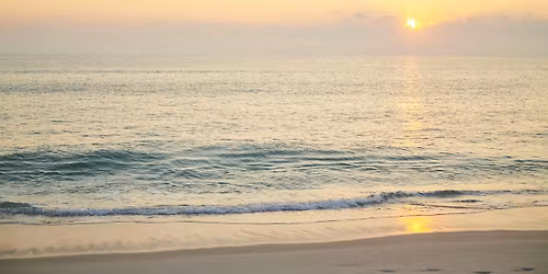 Tide & Sound: World Ocean Day