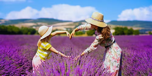 Excursi\u00f3n a Brihuega y sus campos de lavanda \u2013 Desde Madrid \u2013 Julio