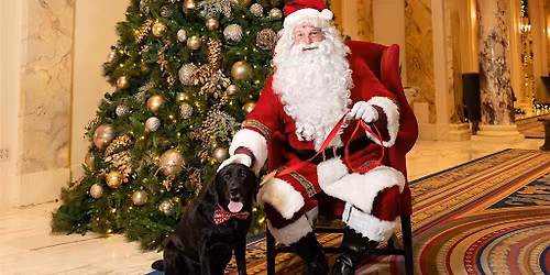 Dog Photos with Santa