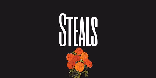 The Steals at Surf Club
