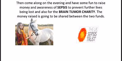 Chloe Rideout's Christmas Charity Auction