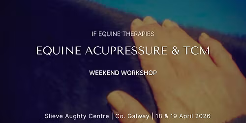 Equine Acupressure & Traditional Chinese Medicine | Weekend Workshop