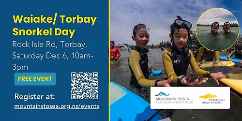Waiake\/Torbay Snorkel Day 2025!