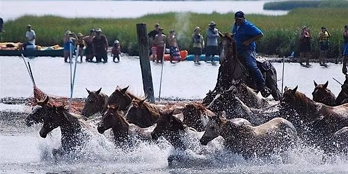 101st Annual Pony Swim Breakfast Buffet at THE PEARL