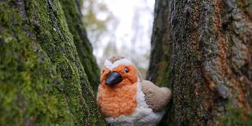 Festive Family Fun at Swanwick Lakes - Weekend Event