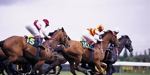 \ud83c\udfc7\u2728Evening at the Races \ud83c\udfc7\u2728