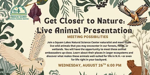 Get Closer to Nature: Live Animals of NH Wildlife