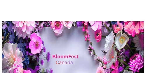 Surrey Fusion Festival