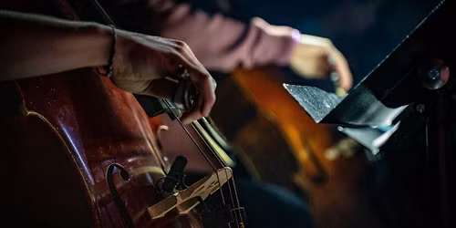 Slee Beethoven String Quartet Cycle: Dali Quartet