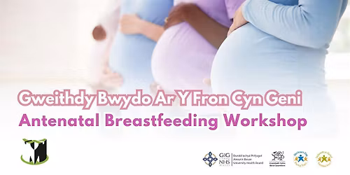 Monmouthshire Antenatal Breastfeeding Workshop