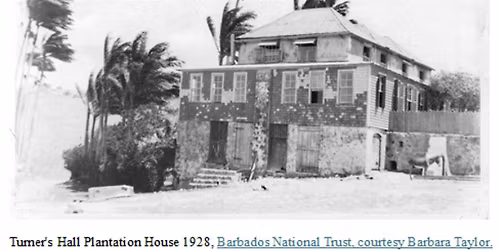 Cohesion and Conflict: Enslaved Society on Turner's Hall Plantation