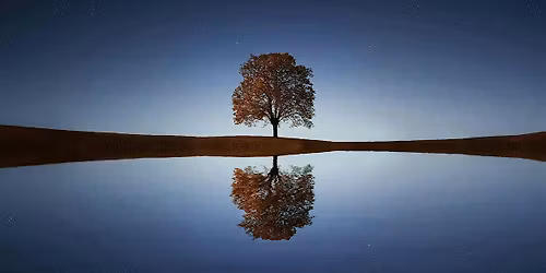 Thursday Evening Relaxation