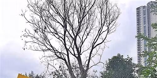 \u6b66\u9053\u9b42\u745c\u4f3d Bodokon Yoga w\/ Lawrence Tai