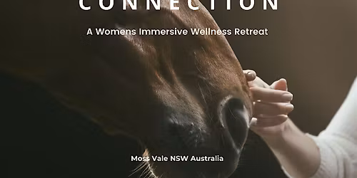 CONNECTION ~ a Womens Wellness Retreat