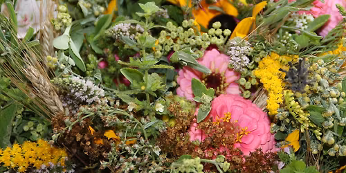 Kurs - Die vielf\u00e4ltige Nutzung des Bauerngartens