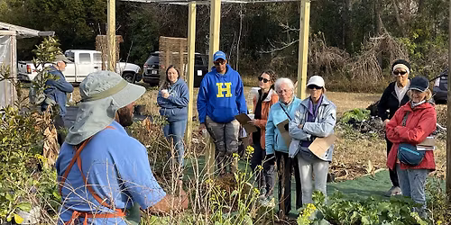 Urban Garden Tour: Therapeutic Nursery & Gardens