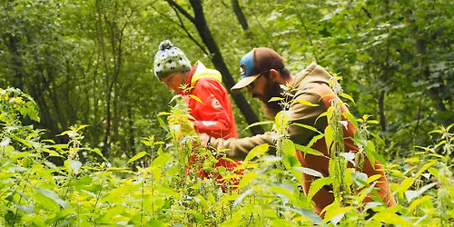 Foraging Course in Suffolk