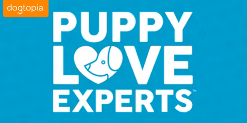 Puppy Pre-School