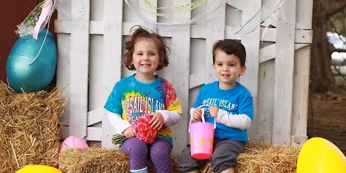 Barnyard Bunny Hunt \ud83d\udc30\ud83c\udf37