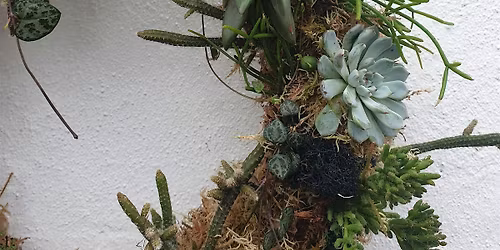 Living wreath making with succulents