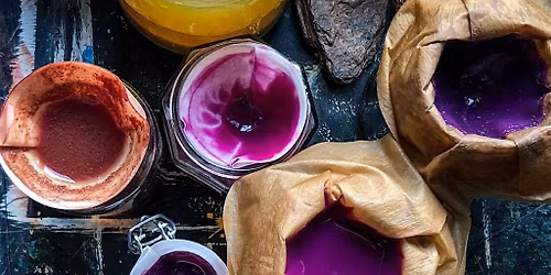 Paint from Plants: Lake Pigments