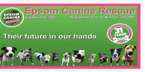 Pets at Home Epsom Fundraiser