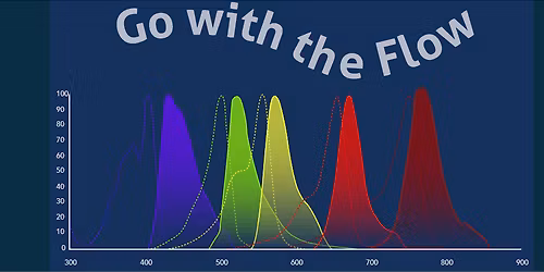 Flow Cytometry Workshop: Beyond the Basics!