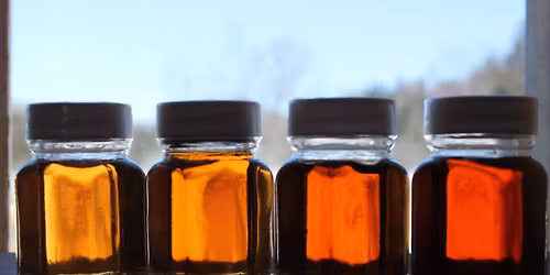 2026 Maple Open House