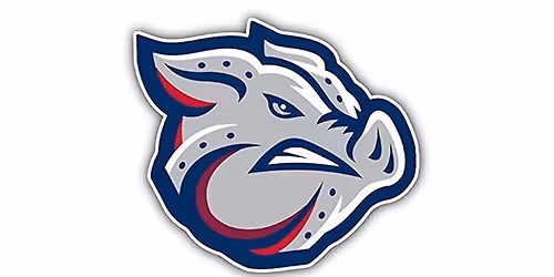 Norchester night with the Lehigh Valley IronPigs