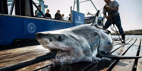 Scenic Visions: Mayport OCEARCH and Ferry Tour