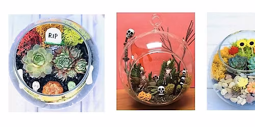 Get Ready For Halloween with Our Succulent Planting Event