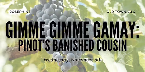 Wine Class - Gimme Gimme Gamay: Pinot's Banished Cousin