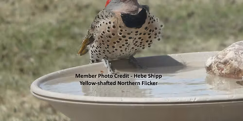 FM-Audubon Chapter - December Meeting