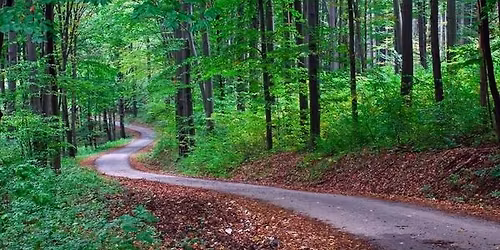 The Pathway to Vocal Freedom