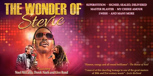 The Wonder of Stevie