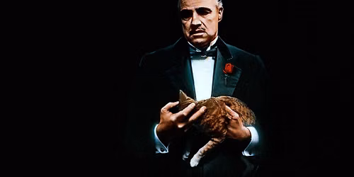 Nemzetk\u00f6zi macskanap: A keresztapa \/ The Godfather