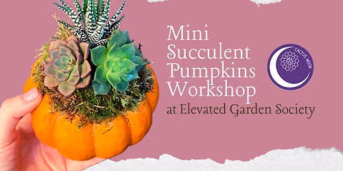 Succulents After Dark: 21+ Pumpkin Workshop